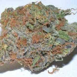 Alaskan Thunder Fuck