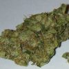 Buy Chemdawg Online
