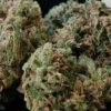 Buy Durban Poison