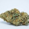 buy golden goat marijuana online