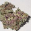 Buy Purple Kush